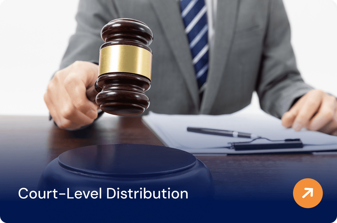 Court-Level Distribution