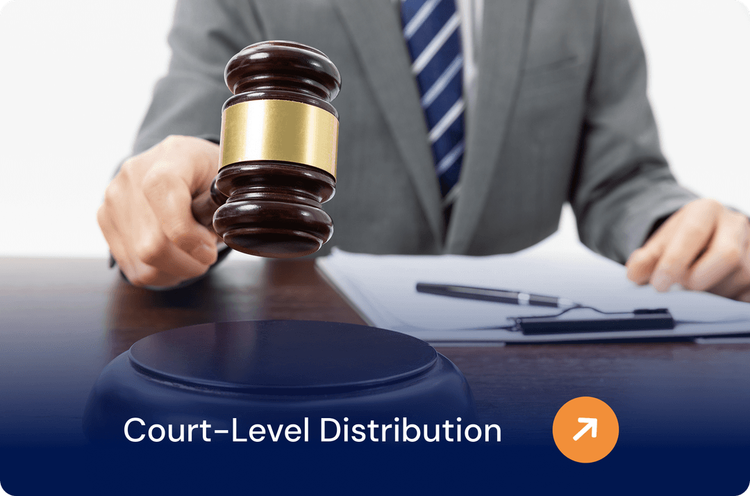 Court-Level Distribution